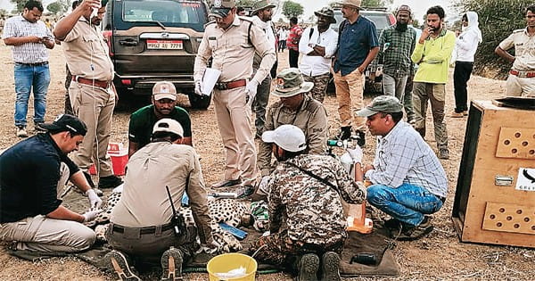 3 दिन पूर्व से लापता ‘पवन’ को राजस्थान से लाए, ‘वीरा’ की लोकेशन मुरैना में मिली