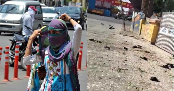 नौतपा का तीसरा दिन : जमकर तप रहा प्रदेश, MP के पृथ्वीपुर (निवाड़ी) में पारा 48.7 डिग्री, रतलाम में पक्षियों की मौत