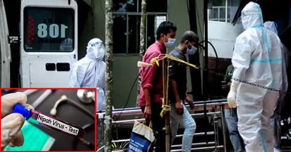 केरल में 14 साल के लड़के की निपाह-वायरस से मौत, निगरानी में रिश्तेदार; अभी तक नहीं बना कोई टीका