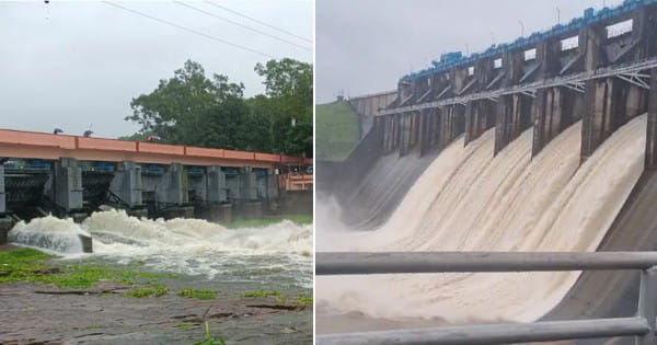 MP में भारी बारिश का दौर : भदभदा और तवा डैम के 5 गेट खोले गए, कलियासोत डैम के भी गेट खुले