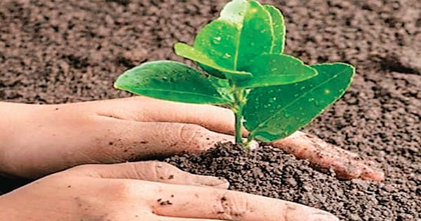 ‘एक पेड़ मां के नाम’ अभियान से अमेरिका में भी जुड़ा प्रवासी भारतीय समुदाय
