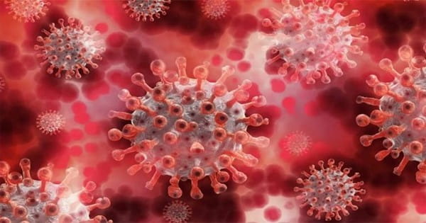 30 खतरनाक वायरस दुनिया में ला सकते हैं भयंकर महामारी