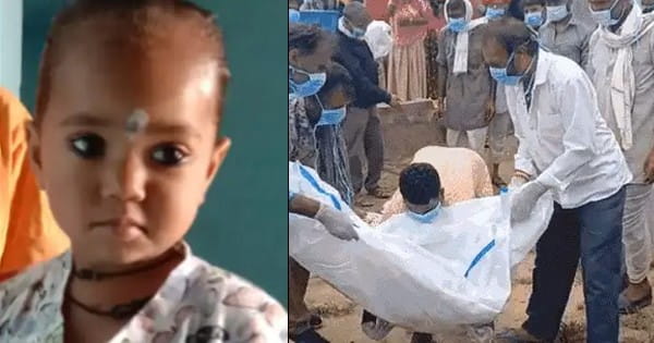 Chandipura Virus : राजस्थान में चांदीपुरा वायरस से दूसरी मौत, शाहपुरा के इटड़िया गांव में दो वर्षीय मासूम ने तोड़ा दम