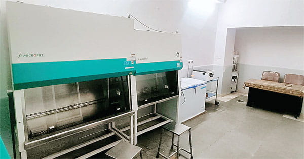 अब ऑर्गन्स की तरह त्वचा भी डोनेट कर सकेंगे लोग, 5 साल तक रहेगी सुरक्षित