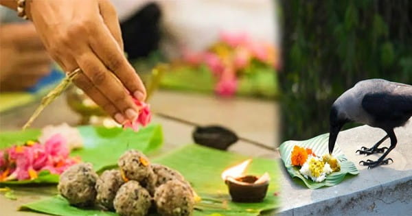 Pitru Paksha 2024 : कब से शुरू हो रहा पितृपक्ष, जानें महत्व और श्राद्ध की तिथियां