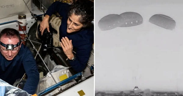 सुनीता विलियम्स के बिना धरती पर लौटा स्टारलाइनर स्पेस क्राफ्ट, न्यू मैक्सिको के रेगिस्तान में हुई लैंडिंग
