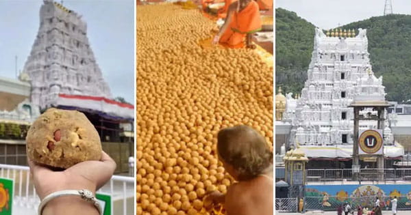 क्या है तिरुपति लड्डू विवाद : CM नायडू के बयान के बाद देशभर में गहराई राजनीति, जानें पूरा मामला