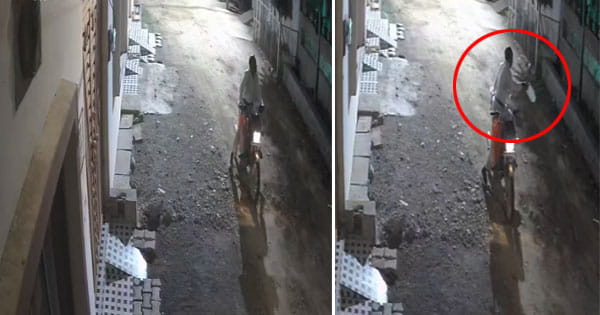 Shivpuri Viral Video : पैसों के लिए कुछ भी करेंगे... सांप से भी ज्यादा खतरनाक है ये स्नेक कैचर, लोगों के डर को ही बना डाला बिजनेस