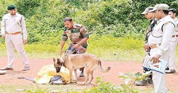 वन अपराधियों को खोजने में पेंच प्रबंधन का मददगार बना स्निफर डॉग ‘सुंदर’