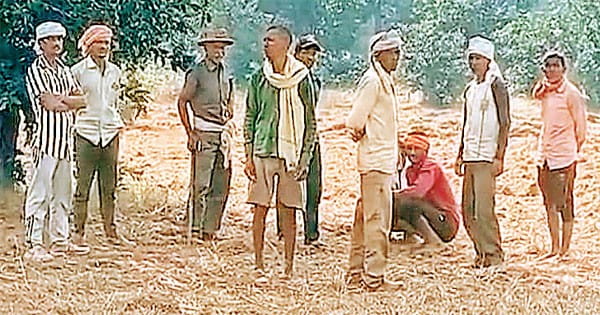 10 हाथियों की मौत के बाद उमरिया की कोदो खरीदने से व्यापारियों का इनकार