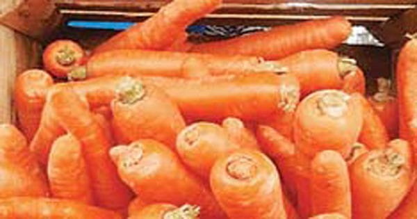 अमेरिका में ऑर्गेनिक गाजर खाने से एक की मौत, 39 लोग संक्रमित