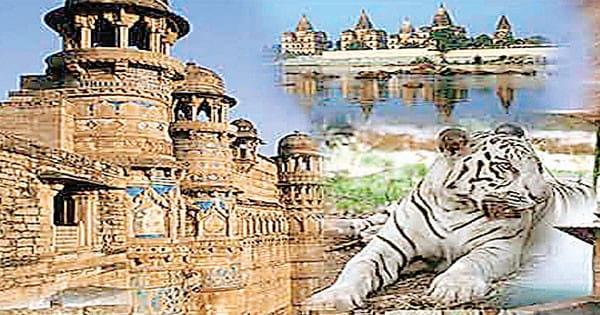 फिल्मों में एमपी के पर्यटन, धरोहरों और कलाकारों को रोजगार देने पर फोकस