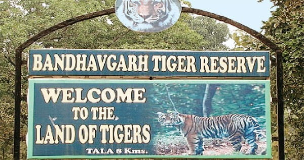 रिसॉर्ट से निकलने वाला कचरा वन्य प्राणियों की जान के लिए बना खतरा