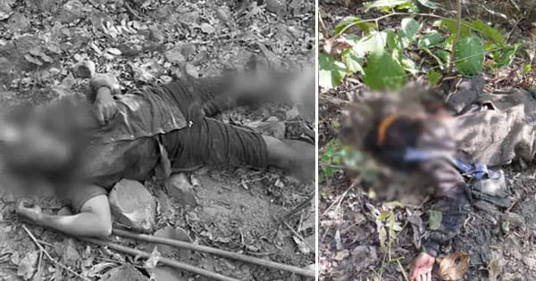 छत्तीसगढ़-ओडिशा बॉर्डर पर मुठभेड़ : गरियाबंद में अब तक 15 नक्सली ढेर, 1 करोड़ का ईनामी भी मारा गया; भारी संख्या में हथियार बरामद