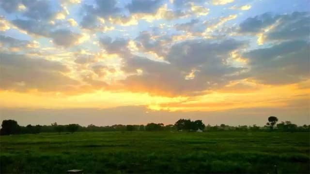 MP Weather Update : प्रदेश में गजब मौसम... दिन में धूप, रात में ठंडक; 12-14 फरवरी को बारिश के आसार