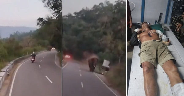 बाइक से पहाड़ों की सैर पर निकला जर्मन पर्यटक, रास्ते में जंगली हाथी ने सूंड में लपेटकर फेंक दिया, मौत; हमले का वीडियो वायरल