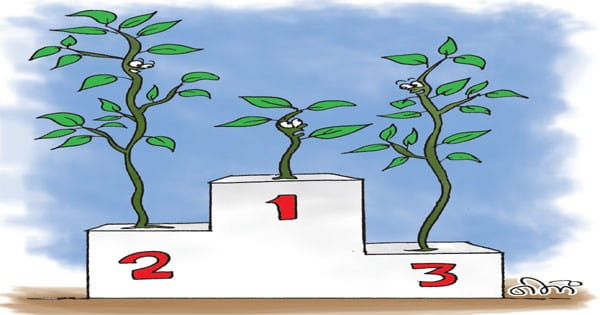 7 फसलों में हम देश में नंबर-1, अब कृषि आधारित उद्योगों के लिए आएंगे निवेश