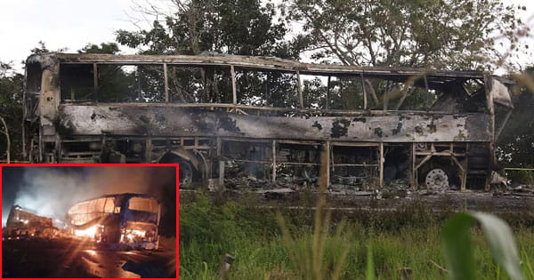 मैक्सिको में भीषण सड़क हादसा : ट्रक से टक्कर के बाद बस में लगी आग, 41 लोगों की मौत