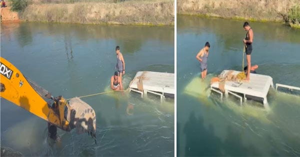 Gwalior News : नहर में गिरी बोलेरो, कार सवारों की तलाश जारी, JCB मशीन से गाड़ी को बाहर निकाला