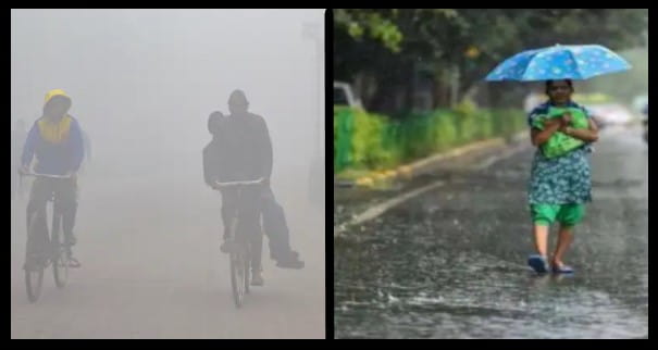 Weather Update : उत्तर भारत में कोहरे और शीतलहर का कहर, अगले 2 से 5 दिन देश के इन हिस्सों में बारिश की संभावना