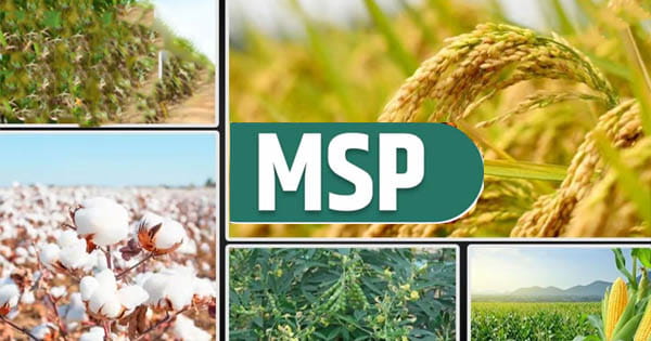 केंद्र सरकार का किसानों को तोहफा : धान, कपास, सोयाबीन समेत 14 खरीफ फसलों के MSP में बढ़ोतरी, धान में 69 तो तुअर दाल में 450 रुपए का इजाफा