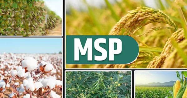 केंद्र सरकार का किसानों को तोहफा : धान, कपास, सोयाबीन समेत 14 खरीफ फसलों के MSP में बढ़ोतरी, धान में 69 तो तुअर दाल में 450 रुपए का इजाफा