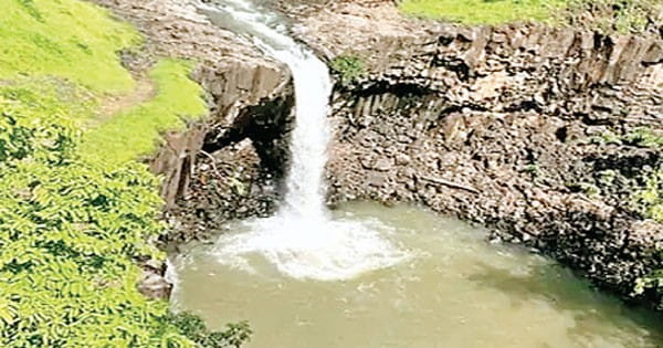 खिवनी अभयारण्य का एरिया कम, टैरेटिरी से बाहर आ रहे टाइगर