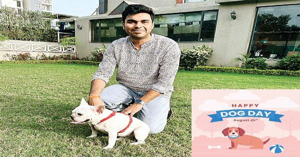 स्पेस, ग्रूमिंग व हेल्थकेयर बजट के मुताबिक चुनें डॉग, ताकि ठीक रहे उसकी सेहत और बिहेवियर