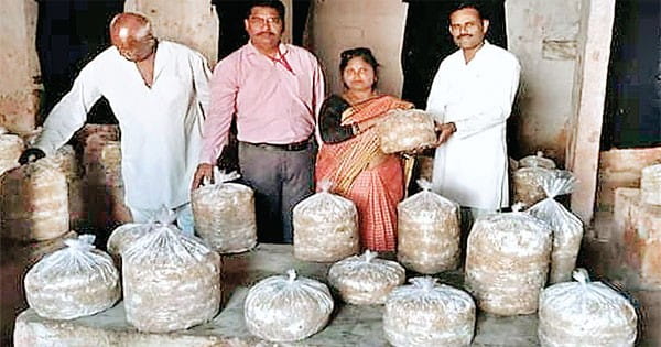 ग्वालियर की ज्योति ने 80 से अधिक महिलाओं को प्रशिक्षित किया, इनमें से 45 ने खुद का कामकाज शुरू किया