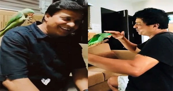 टुकटुक का पता बताने वाले को मिलेगा 51 हजार का इनाम, तोते और इंसान के अजब प्रेम की गजब कहानी