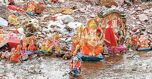 लक्ष्मी के वाहन उल्लू को बचाने के लिए वाइल्ड लाइफ फोटोग्राफर ने उठाया बीड़ा