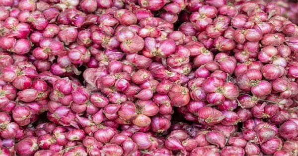 दाम 80 से 90 रुपए किलो, मार्च से पहले राहत की उम्मीद नहीं