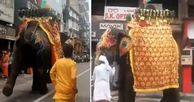 अहमदाबाद जगन्नाथ रथयात्रा में अफरा-तफरी: भीड़ देखकर बेकाबू हुआ हाथी, एक युवक घायल, तीन हाथी हटाए गए