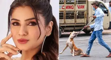सुप्रीम कोर्ट के फैसले पर रवीना टंडन का सर्मथन, बोली- डोगेश भाई तुम आगे बढ़ो, हम तुम्हारे साथ हैं...
