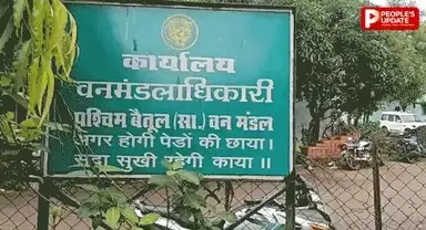 Betul Illegal Sand Mining: टांडा में 3 बिना नंबर ट्रैक्टर पकड़े, वन विभाग की कार्रवाई पर उठे सवाल